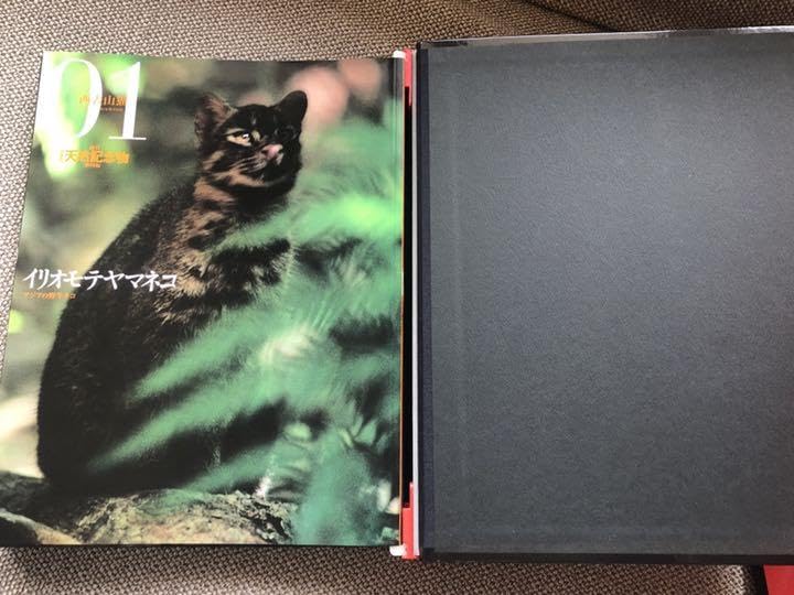 Amazon.co.jp: 小学館 週刊 日本の天然記念物 全50巻 海洋堂